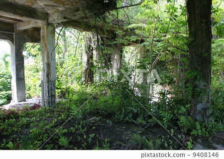 Trace of Japanese military directorate of Pelliu island Trace of Japanese military directorate of Pelliu island 9408146