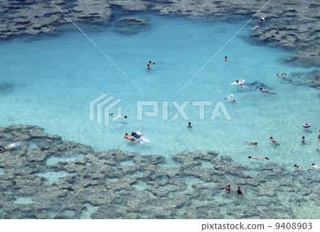 夏威夷哈瑙瑪灣 夏威夷哈瑙瑪灣 9408903