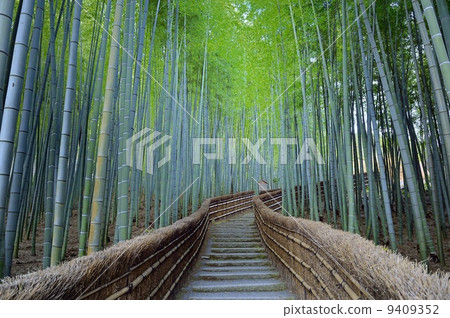 竹樹林竹寺 竹樹林竹寺 9409352