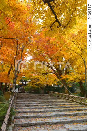 Ryoan寺廟在秋天 Ryoan寺廟在秋天 9409517