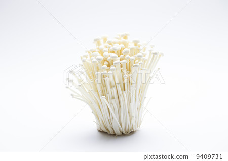 Enoki 9409731