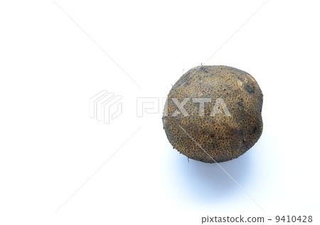 Odate's specialty Yamanoimo ♪ Odate's specialty Yamanoimo ♪ 9410428