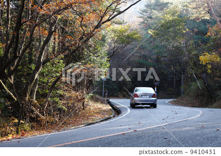 Autumn Winding 9410431