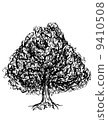 Oak tree 9410508