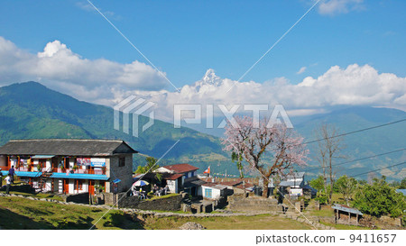 安納布爾那山 遠足 喜馬拉雅山 9411657