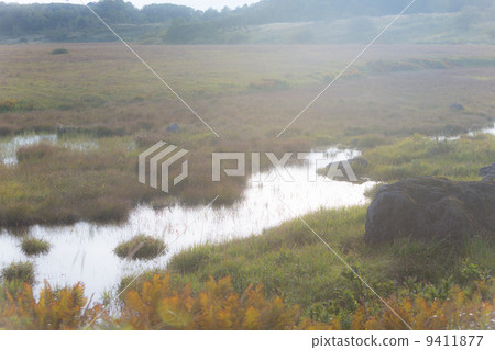 Marshara Hachiagahara Marsh Marshara Hachiagahara Marsh 9411877