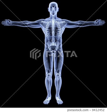 body body 9412452
