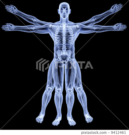 vitruvian vitruvian 9412461