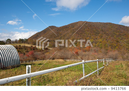 秋天的景色 秋天的景色 9413766