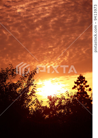 Golden-colored clouds Golden-colored clouds 9413973