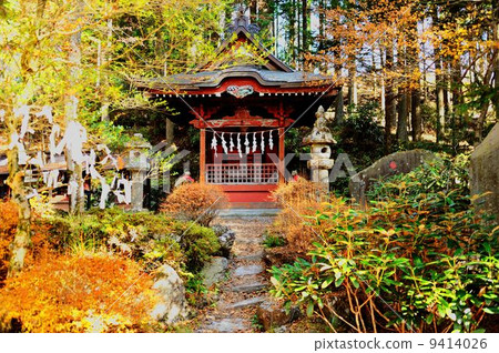 Chichibu way drive line 9414026