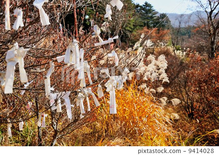 Chichibu way drive line Chichibu way drive line 9414028