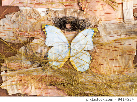 abstract composition of butterflies, birch bark and straw 9414534