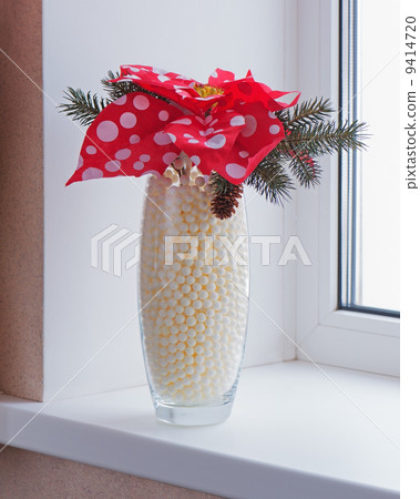 Composition from Poinsettia Plant with spruce branches in vase o 9414720