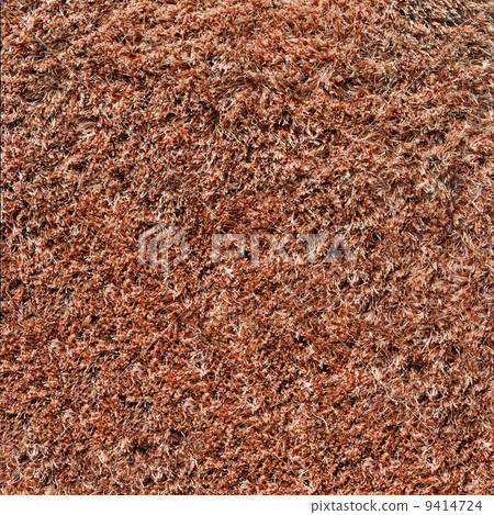 Carpet or rug texture. 9414724