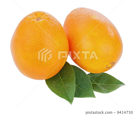 Fresh orange fruits with green leaves isolated on white backgrou 9414730