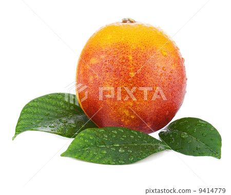 Ripe red blood oranges with green leaves isolated on white backg 9414779