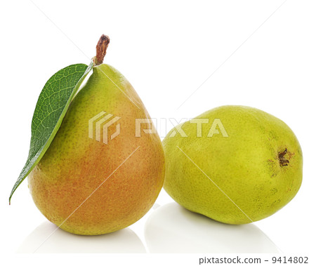 Ripe pears with green leaves isolated on white background. 9414802