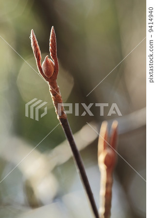 Shuwatchi Shuwatchi 9414940