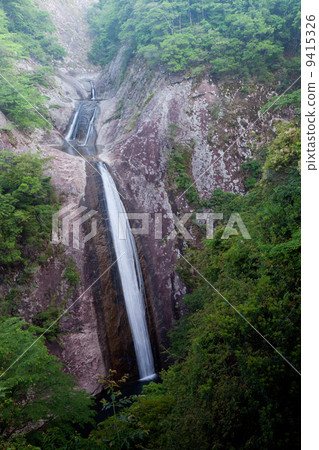 新鮮的綠色Crestfall秋天 新鮮的綠色Crestfall秋天 9415326