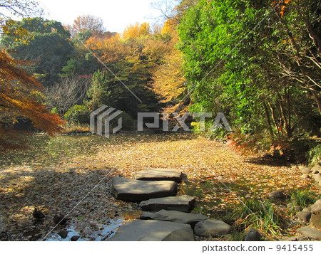 Autumn's University of Tokyo Sanshiro pond Autumn's University of Tokyo Sanshiro pond 9415455