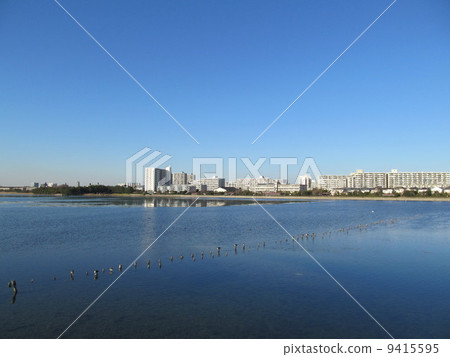 Yatsu tidal flat, Chiba Prefecture 9415595