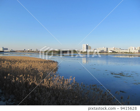 千葉縣Yatsu潮灘 千葉縣Yatsu潮灘 9415628