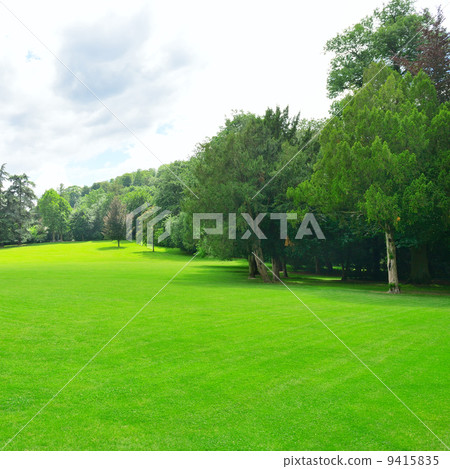 Beautiful meadow in the park 9415835