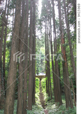 白山神社 9415969