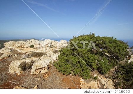 Akamas Peninsula, Cyprus, Europe 9416053