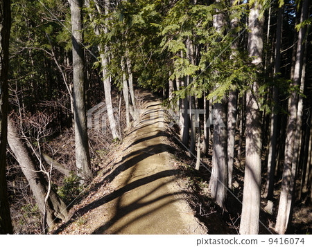 Mountain climbing mountain of Sunrise 9416074