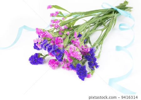 兩種顏色的花束 兩種顏色的花束 9416314