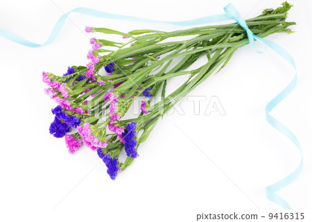 兩種顏色的花束 兩種顏色的花束 9416315