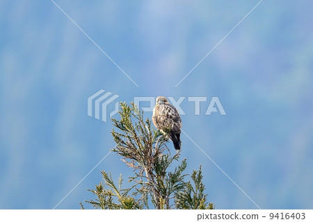 Nothing Nothing 9416403