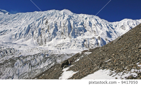 安納布爾那山 尼泊爾 遠足 9417050