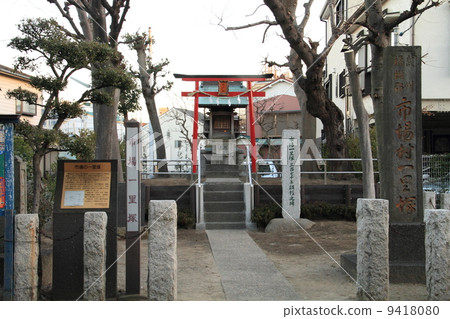 Market milestones 9418080
