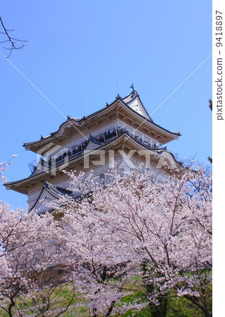 Castle, castle, cherry blossom, flower, cherry tree, cherry tree, cherry tree, cherry tree, castle tower, Odawara, building, landscape, landscape, sky, blue sky, large sky 9418897