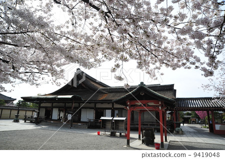 京都Toza春天佛教寺廟 9419048
