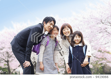 Cherry blossom trees 9419066