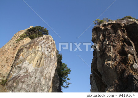 Plants that grow on cliffs 9419164