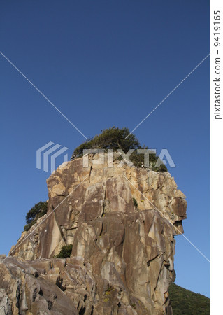 A tree growing on a rocky mountain A tree growing on a rocky mountain 9419165
