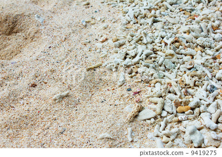 coral sand 9419275
