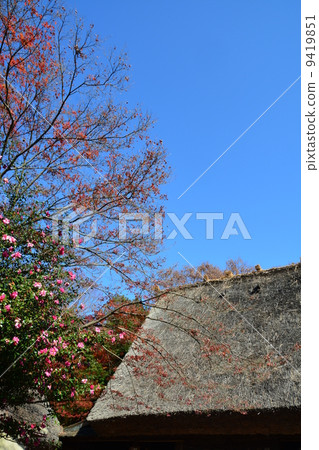 Higashiyama Botanical Garden in the fall 9419851