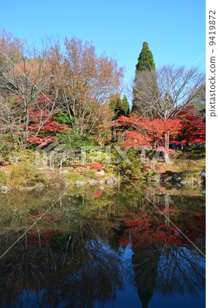 Higashiyama Botanical Garden in the fall Higashiyama Botanical Garden in the fall 9419872