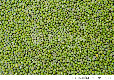 Green bean Green bean 9419974