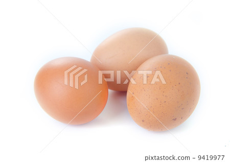 Eggs Eggs 9419977