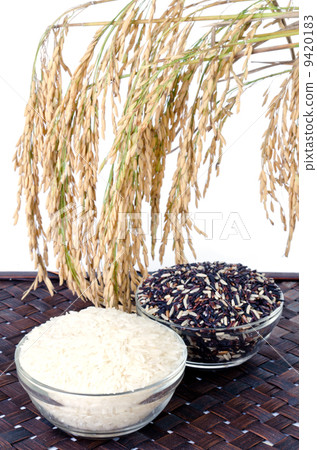 Raw rice, Selection Of Rices Raw rice, Selection Of Rices 9420183