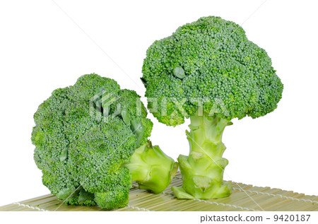 Broccoli on a white background Broccoli on a white background 9420187