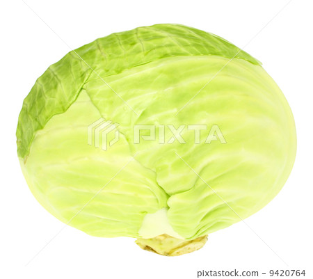 Cabbage close up Cabbage close up 9420764