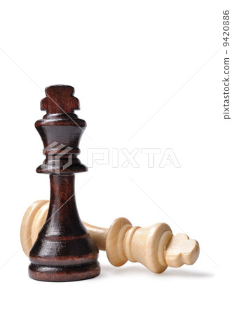 Two chess pieces, one dark and one light Two chess pieces, one dark and one light 9420886